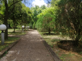 Jungle Nature Villa
